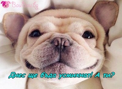 Един усмихнат ден