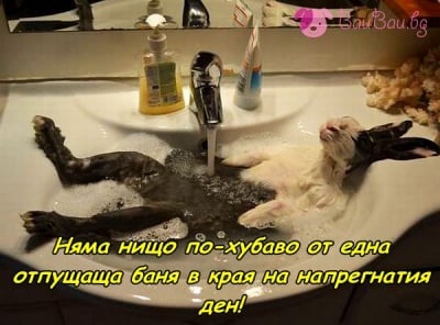 Успокояваща баня