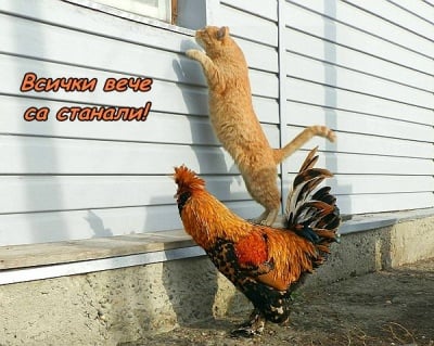 На сутринта