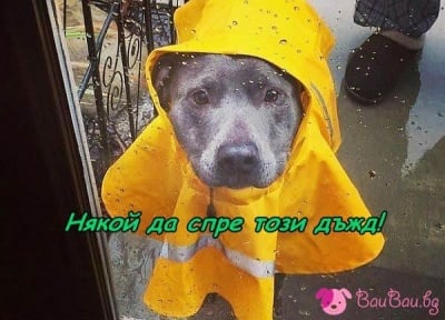 Вали, вали ...