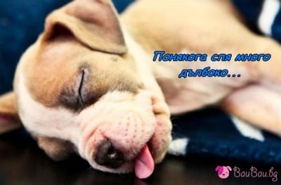 В дълбок сън ...