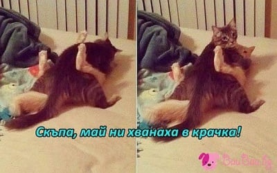 От местопрестъплението