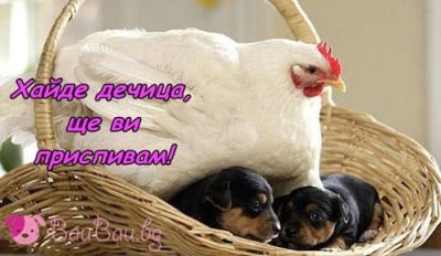 В обятията на грижовна мама