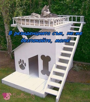 Кой като него ...