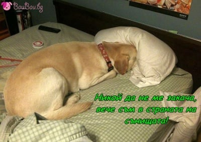 Окупирал леглото