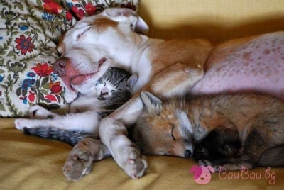 Важно е да си прегърнал някого!