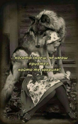 Приятелство без граници