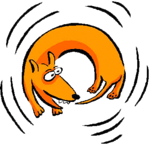 Защо някои кучета се въртят в кръг преди да легнат на земята