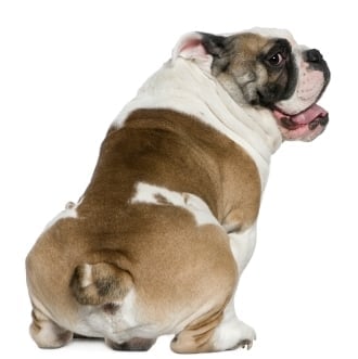 Възпаление на околоаналните жлези