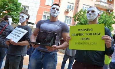 Вегани показаха на обществото брутални кадри с насилие над животните