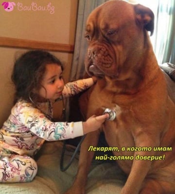 Бъдещ ветеринарен лекар