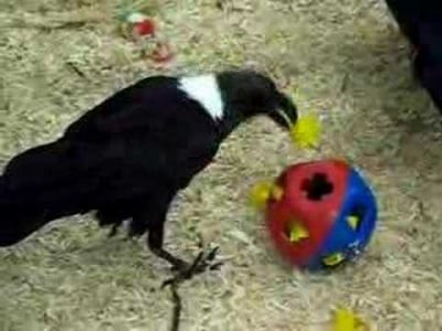 Изумително ...