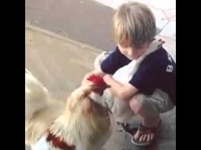 Най-невинната и чиста прегръдка