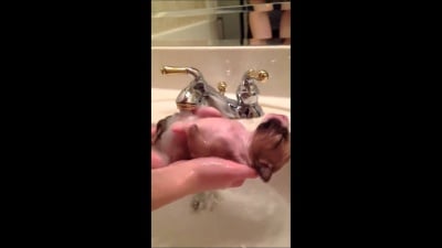 Най - блажената баня на света