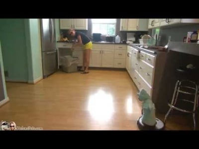 Невиждано - котка в костюм на акула чисти кухнята с прахосмукачка