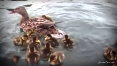 Хората могат да бъдат невероятно добри и това е велико!