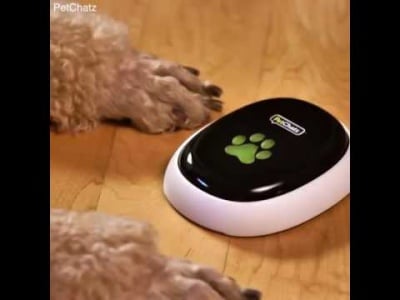 Устройството на бъдещето