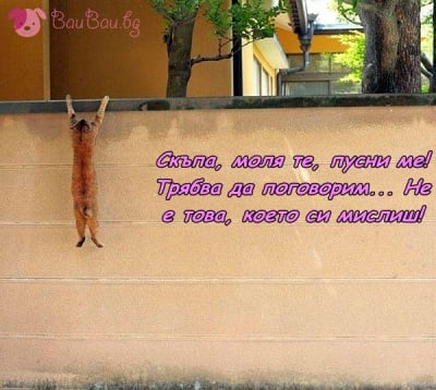 Виновен до доказване на противното