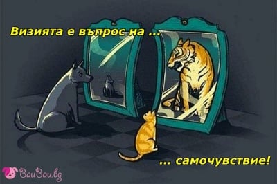 Изглеждаш така, както се чувстваш!