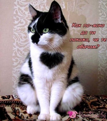 Влюбен съм в теб!