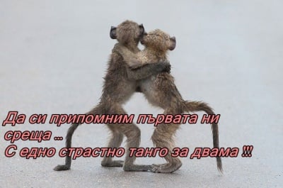 И нека запазим любовта си вечна