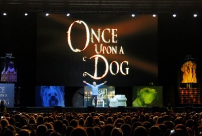 Великолепно шоу в София направи световноизвестният дресьор на кучета Сизър Милан