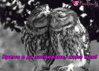 Ласка за лека нощ