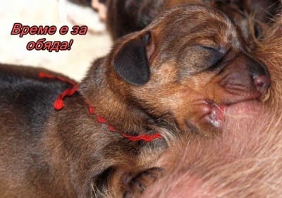 Има ли гладни?