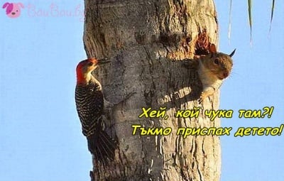 Все се намира някой съсед, който прави ремонт!