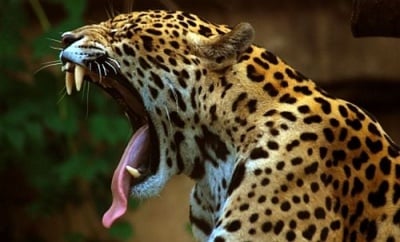 "Ей така съм всяка сутрин!"