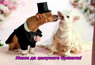 След заветното "Да"...