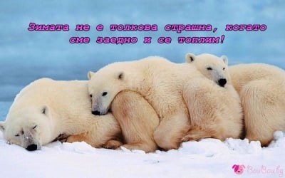 Спане по мечешки