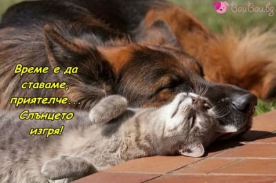 Време за ставане