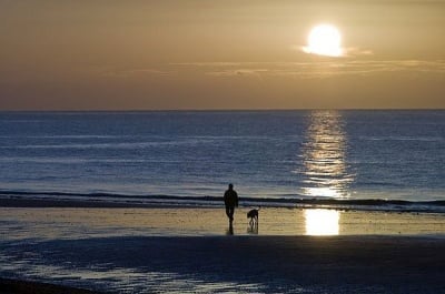 За да спаси кучето си, българин от Бургас се хвърля в ледените води на морето