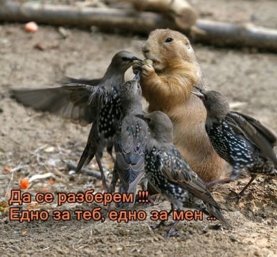 Братска дялба