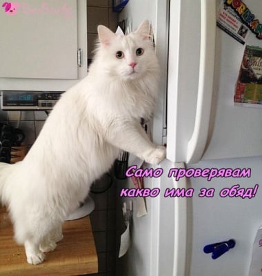 "Не е това, което си мислиш!"