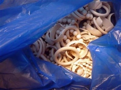 САЩ забрани търговията със слонова кост