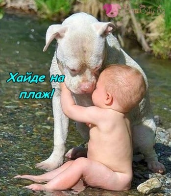 Заедно на плаж