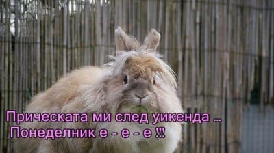 В понеделник сутрин