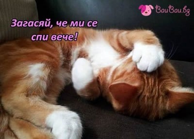 Някои се опитват да спят