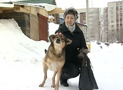 Загрижени хора спасиха трикрако бездомно куче