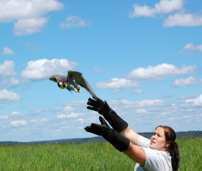 Заповядайте на освобождаването на птици на 16 август в София