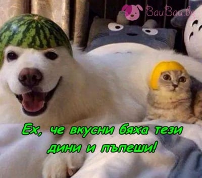 Запознайте се с Динчо и Пъпешана!