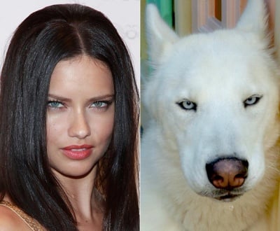 Зашеметяващи прилики между известни личности и животни (първа част)