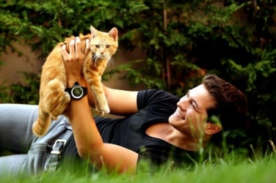 Защо жените харесват мъже, които обичат котки?