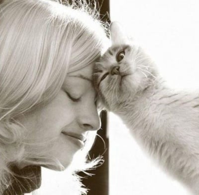 Защо котката си търка главата във Вас?