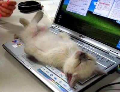 Заспал от преумора