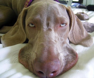 И очите се затварят едно-о-о-о .... по едно-о-о-о