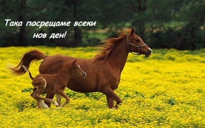 Затичани към нови хоризонти