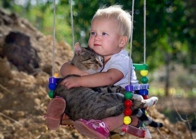 Затрогващи снимки, доказващи, че котките носят златно сърце